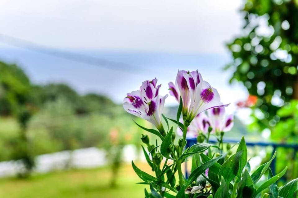 Natural landscape