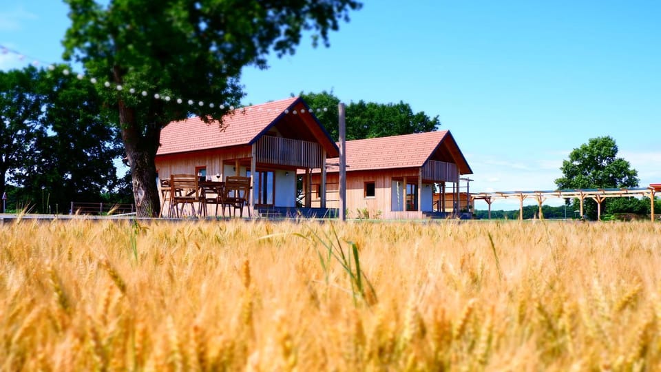 Hiša iz volne Apartment in Slovenia