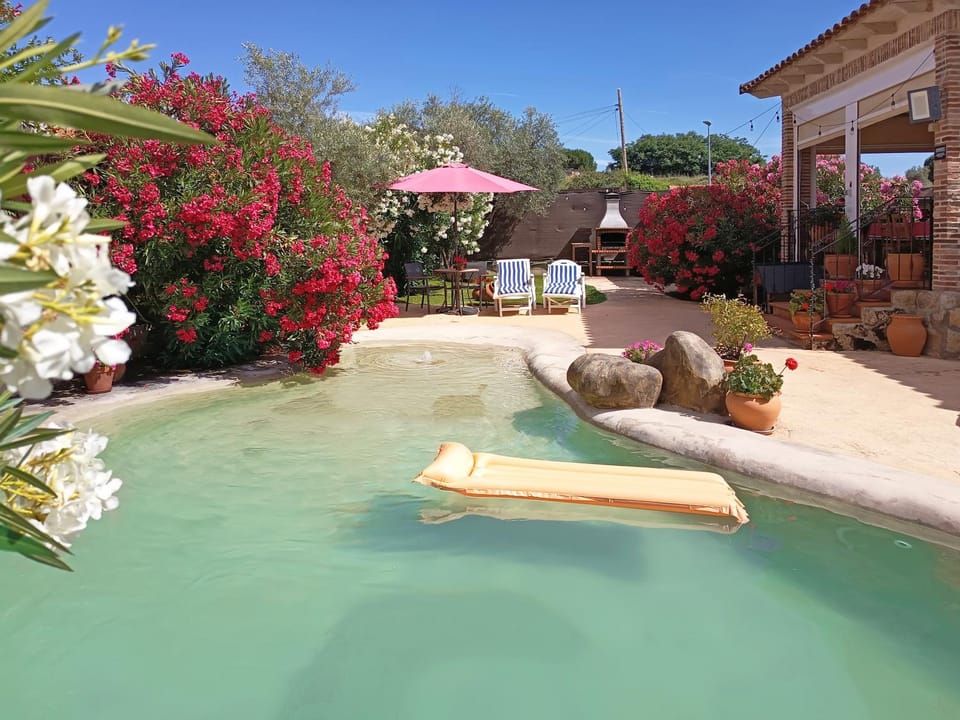 Patio, Bird's eye view, Solarium, Pool view, Swimming pool