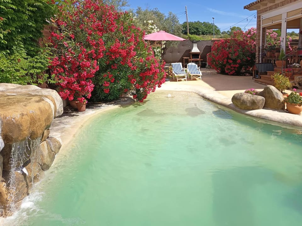 Bird's eye view, Garden, Solarium, Pool view, Swimming pool