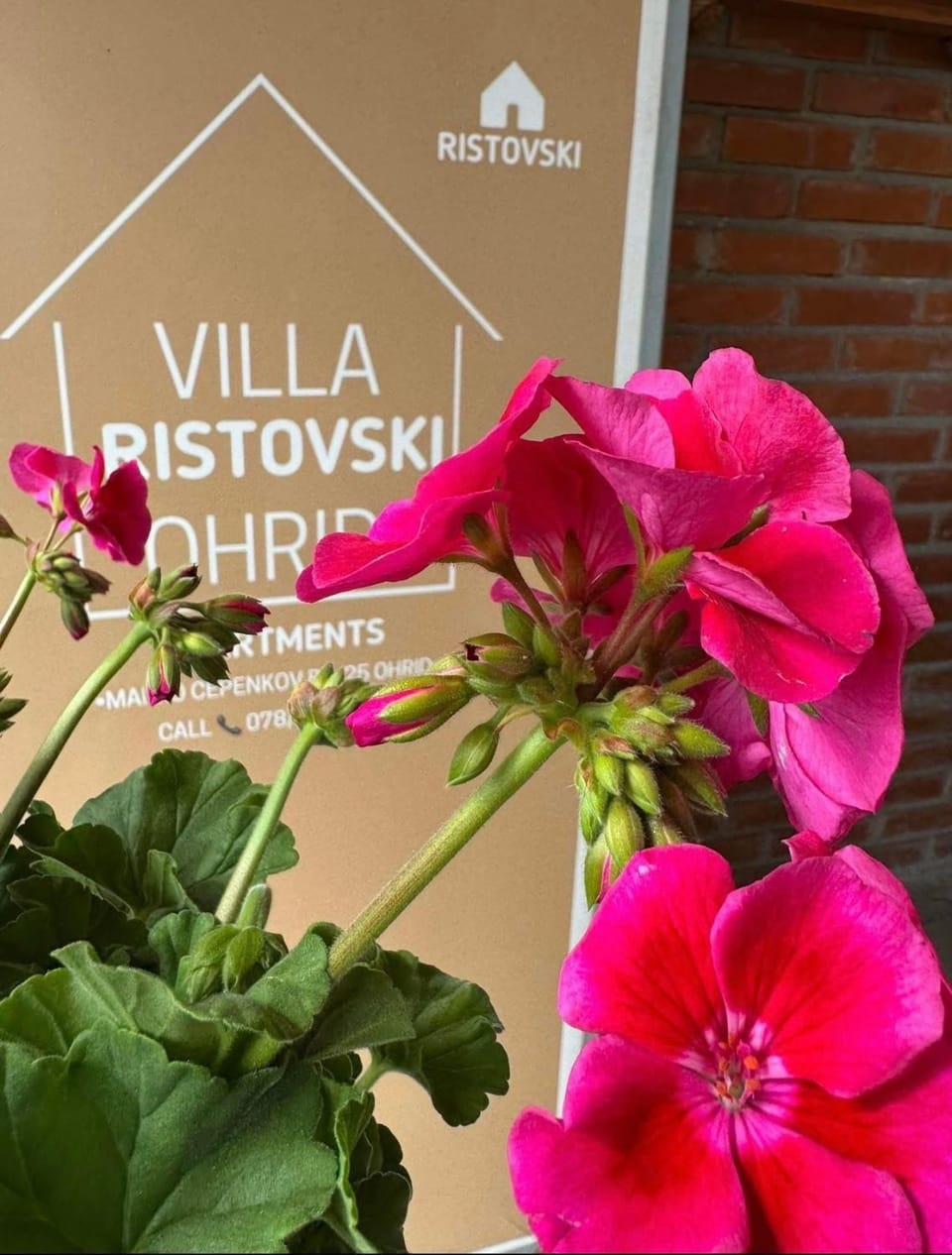 Villa Ristovski Vacation rental in Ohrid