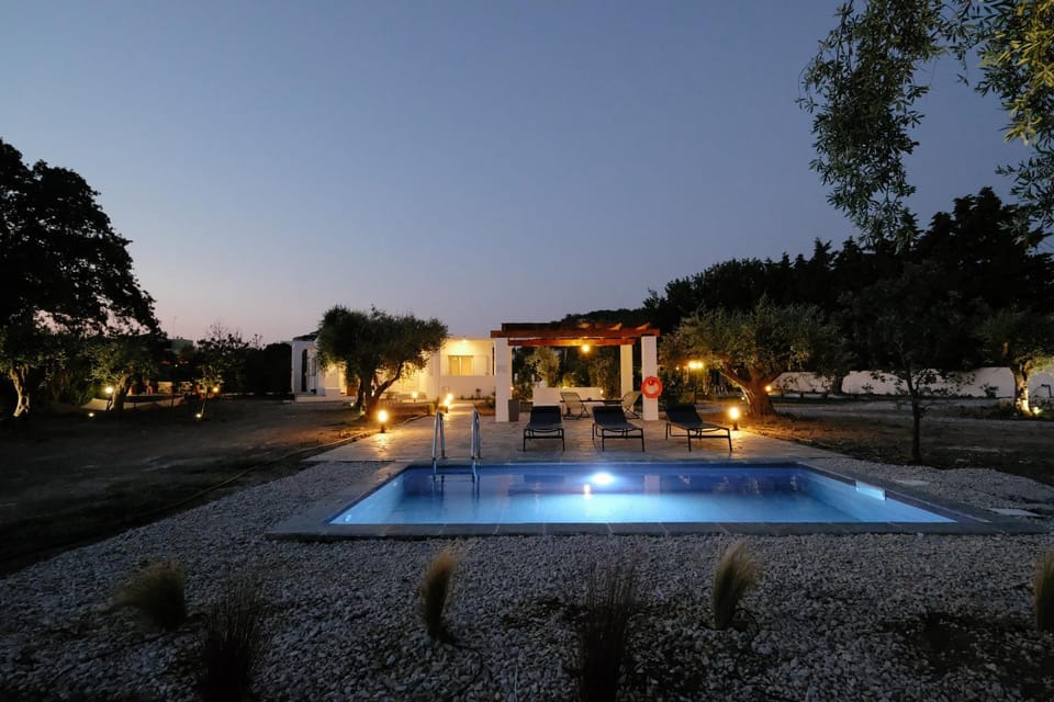Night, Garden, Garden view, Pool view, Swimming pool