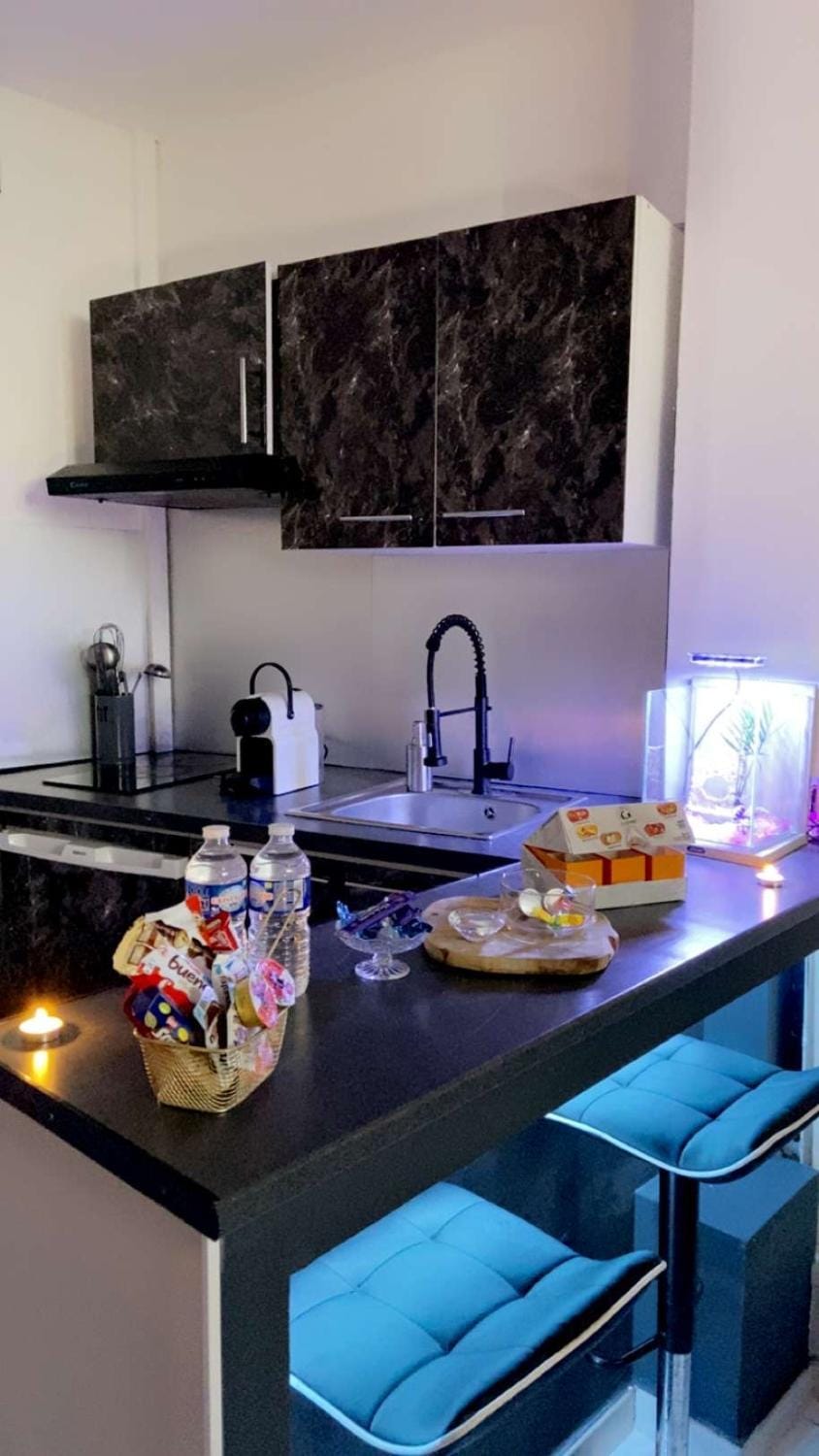 Nuit privée Apartment in Cannes