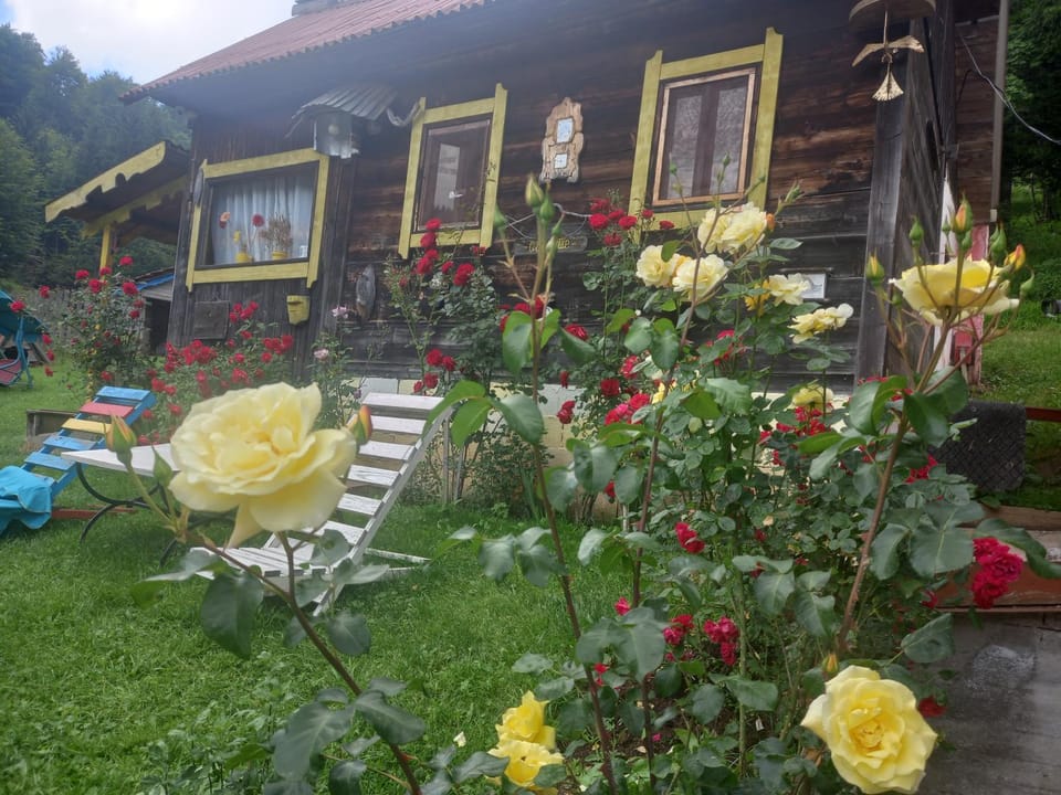 Vikendice Jasen House in Zlatibor District, Serbia