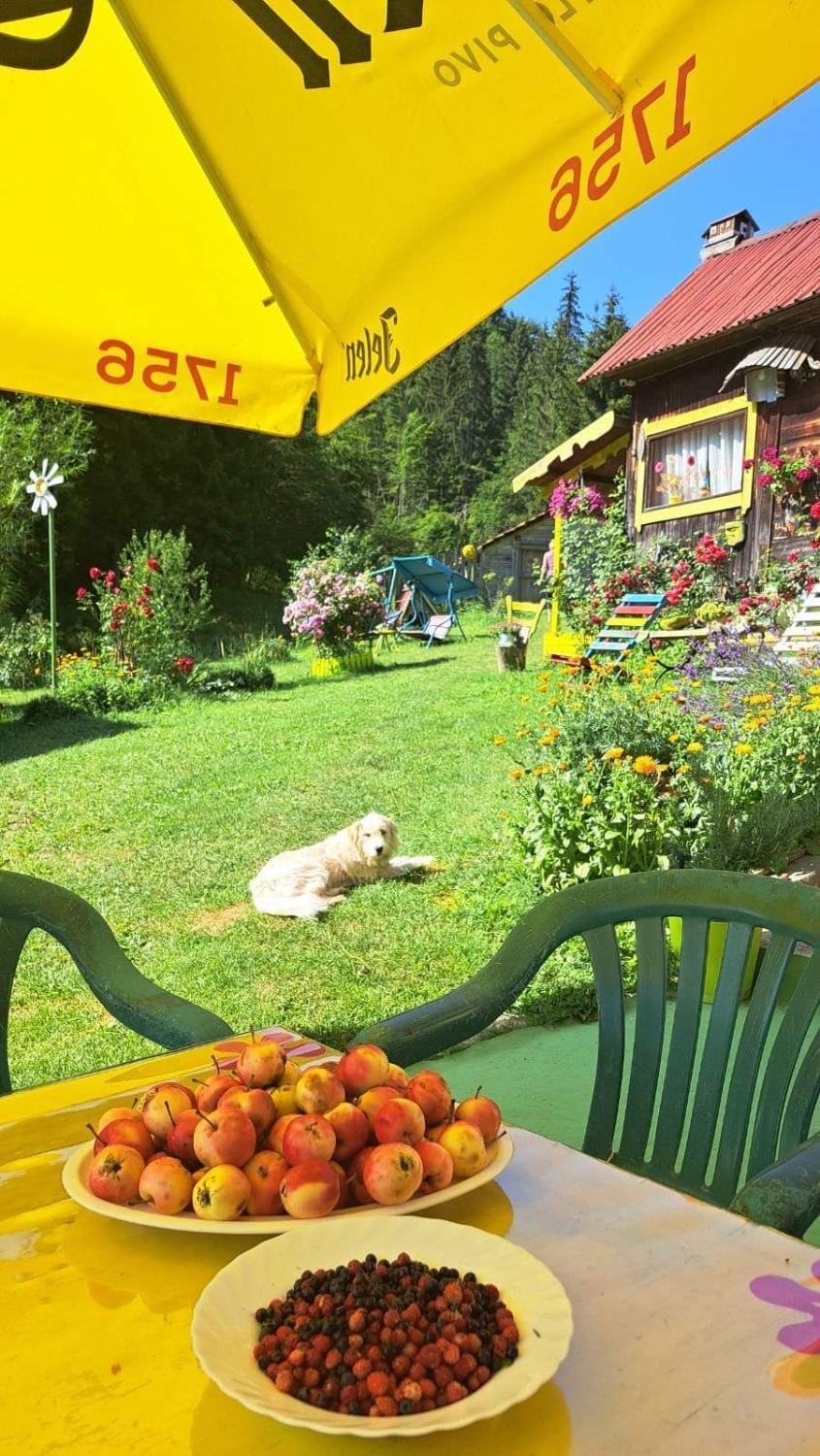 Vikendice Jasen House in Zlatibor District, Serbia