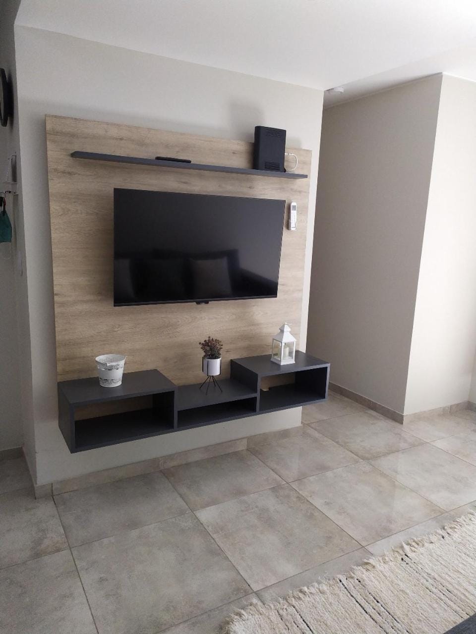 TV and multimedia