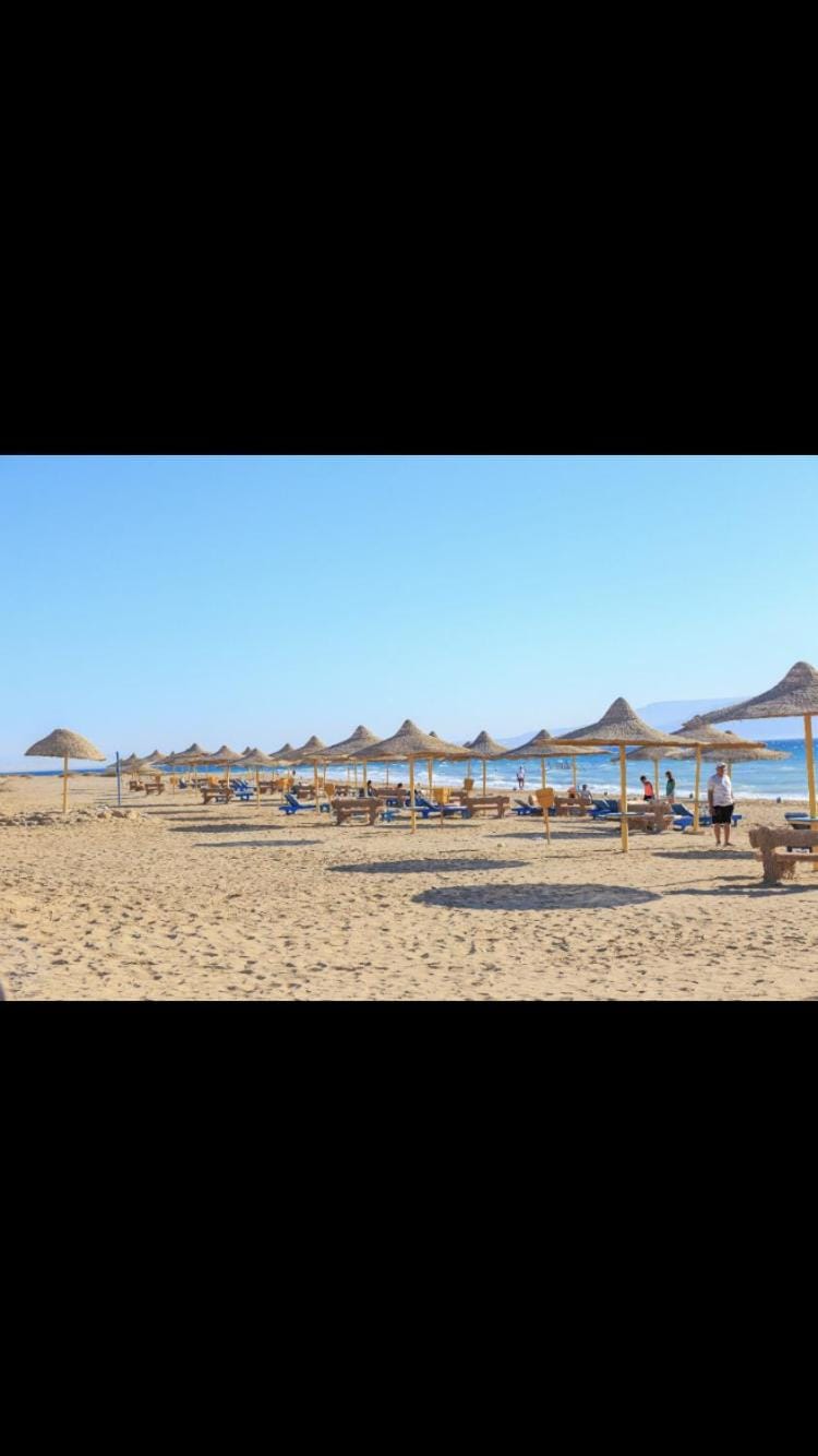 Day, Beach, Sea view, sunbed