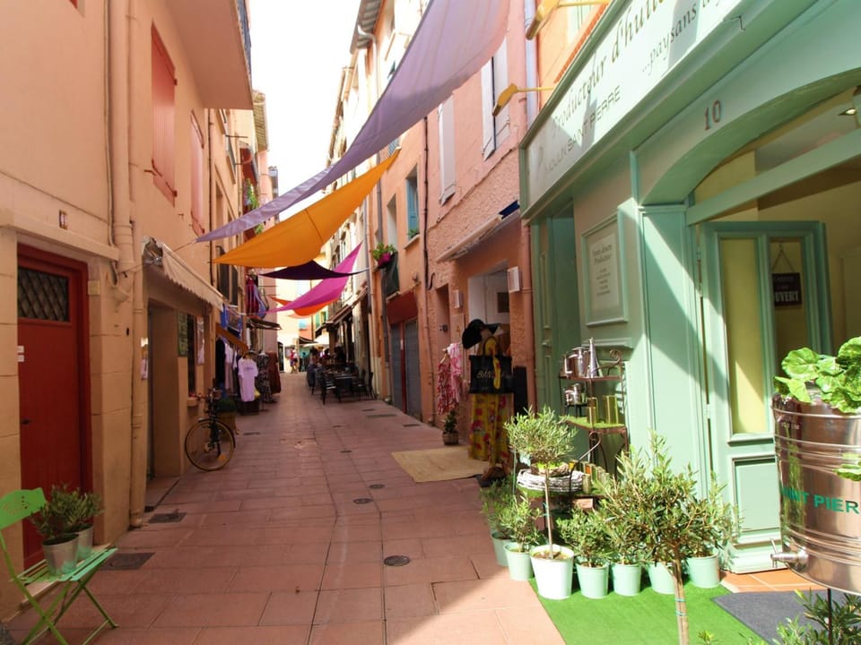 Appartement F3 confortable au cœur de Collioure - FR-1-309-284 Apartment in Collioure