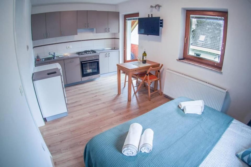 Humar Apartma Apartment in Slovenia