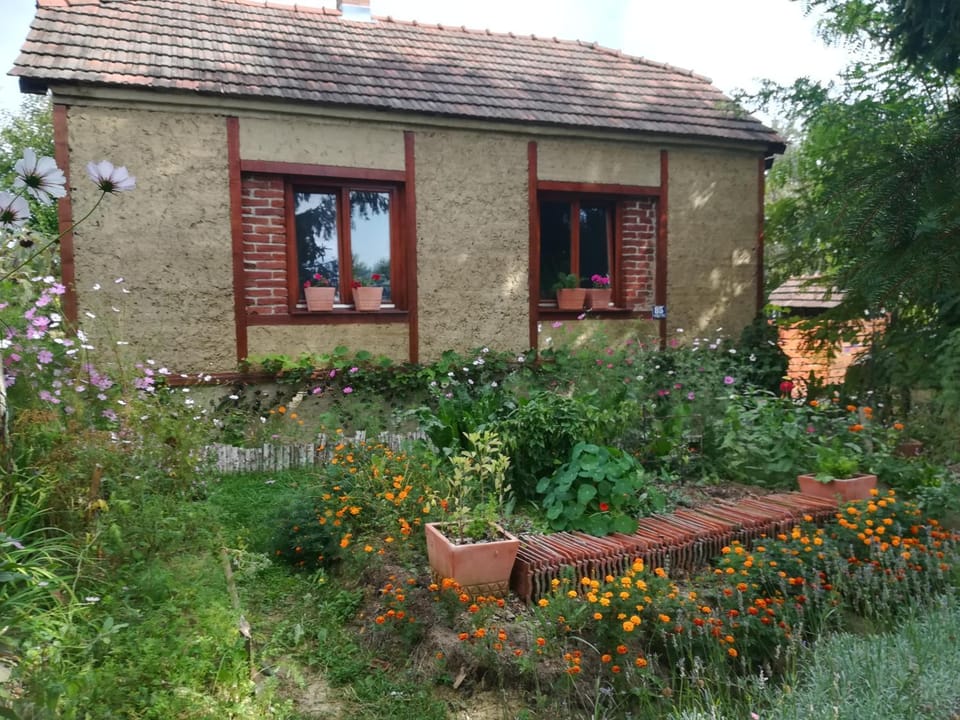 Property building, Facade/entrance, Garden