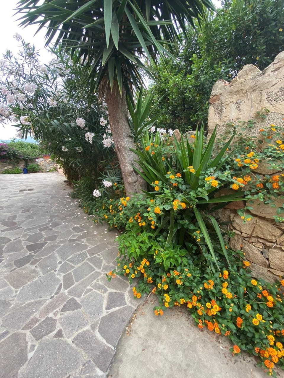 Garden view