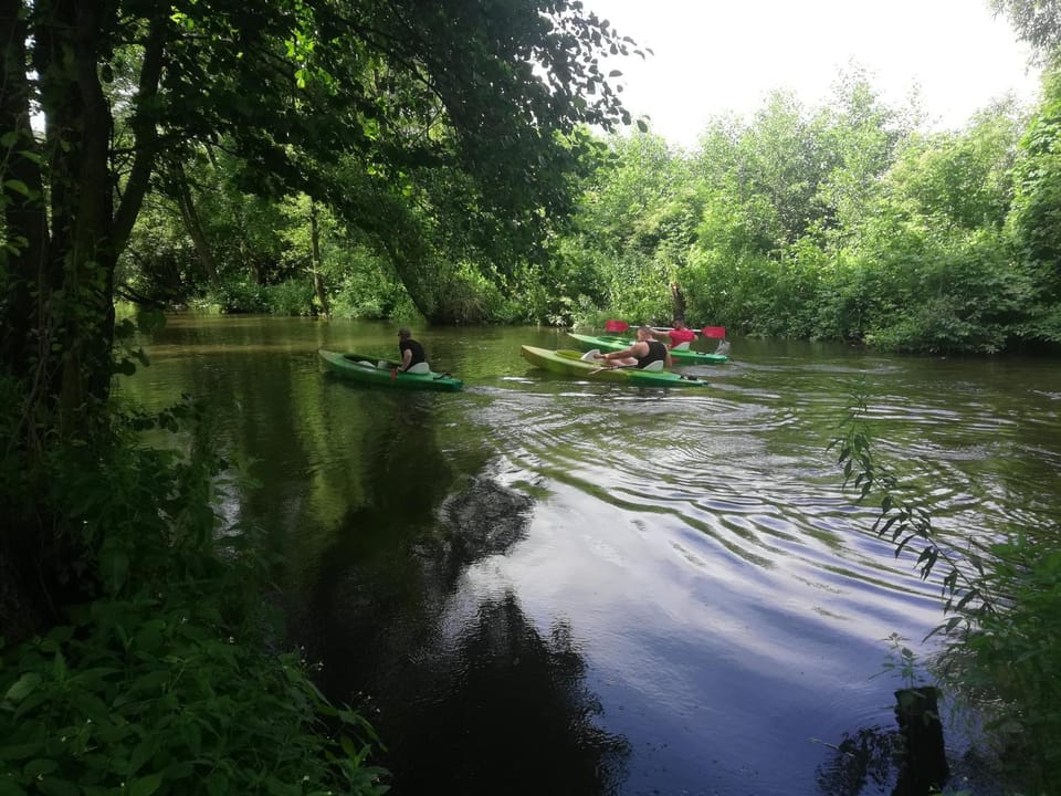 Agroturystyka domki nad rzeką Bałtów kajaki rowery klima basen ryby full Chalet in Poland