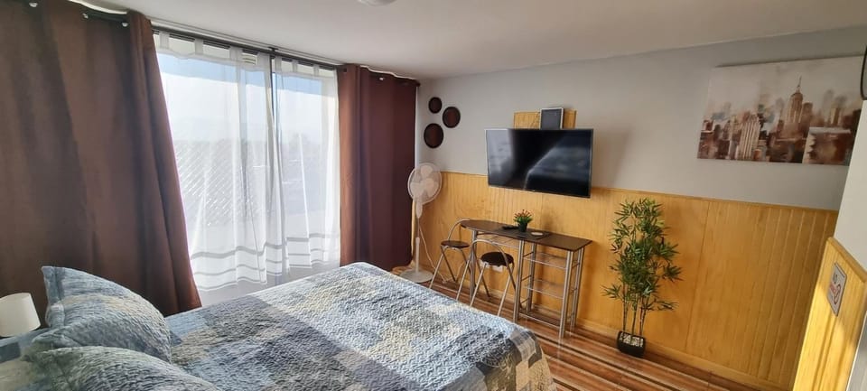 Santiago Centro - Zenteno Apartment in Santiago