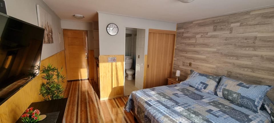 Santiago Centro - Zenteno Apartment in Santiago
