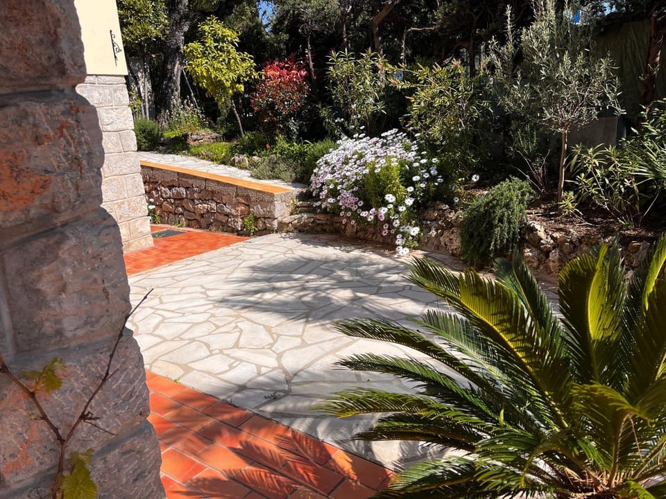Garden view