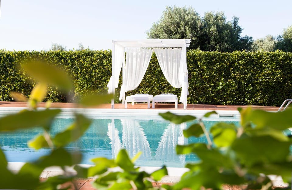 Garden, Garden view, Pool view, Swimming pool, Swimming pool, sunbed