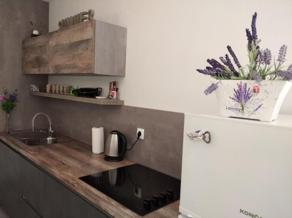 Dandy Apartment in Zadar County