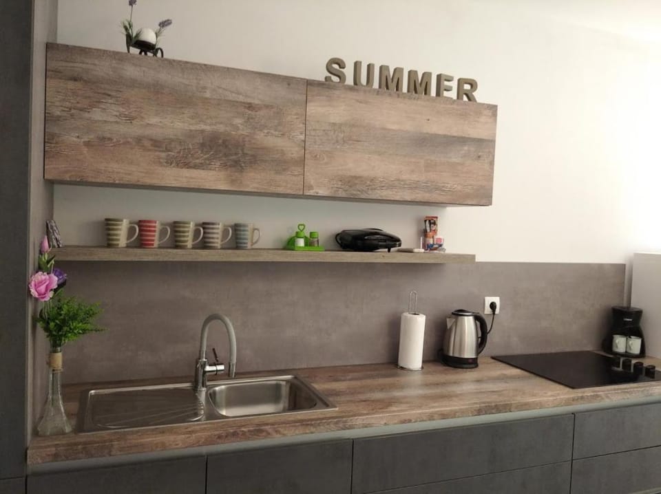 Dandy Apartment in Zadar County