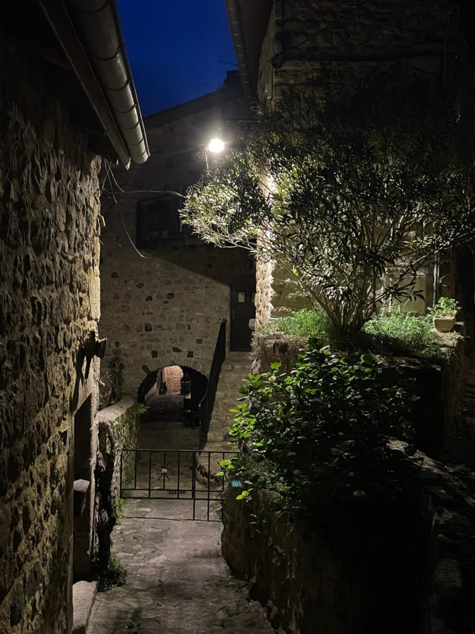 Gîte "Lo Fédou d'Antraigues sur Volane" Bed and Breakfast in Provence