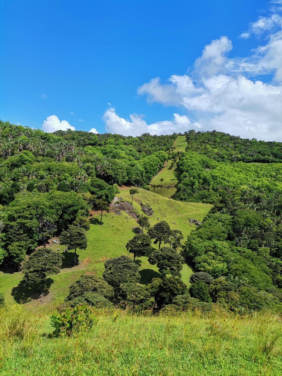 Natural landscape, Hiking