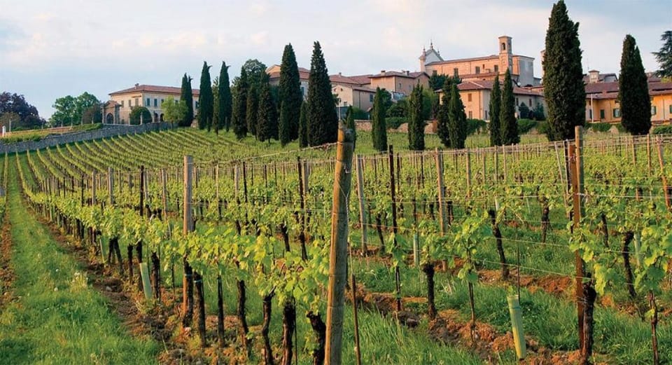 Neighbourhood, Natural landscape