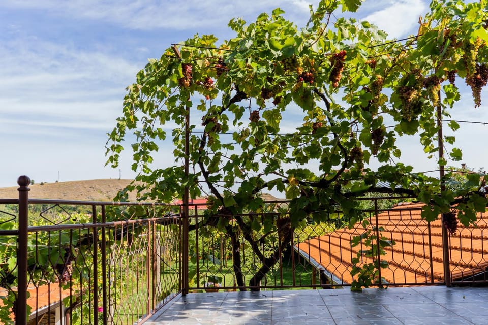 Balcony/Terrace, Garden view