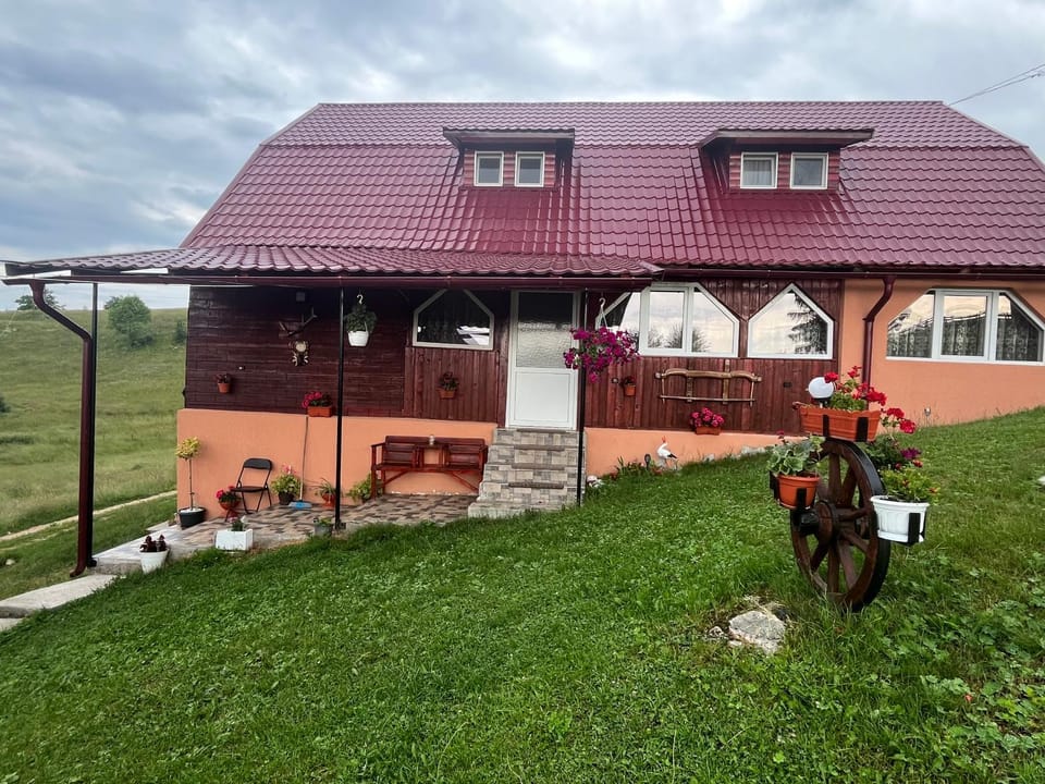 Cabana Daria Bed and Breakfast in Cluj County