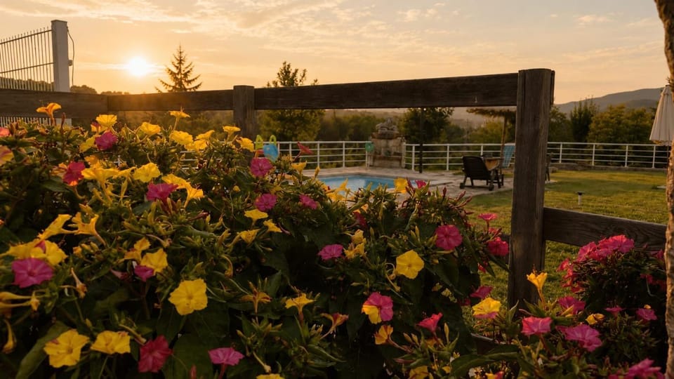 Garden view, Swimming pool