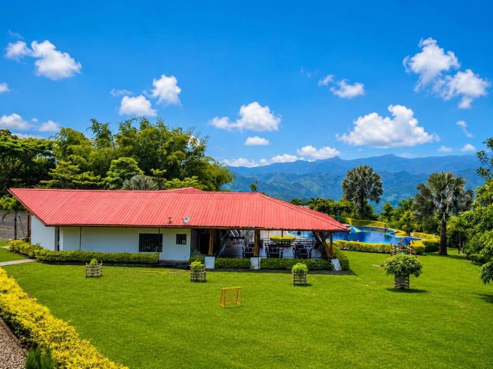 Garden view
