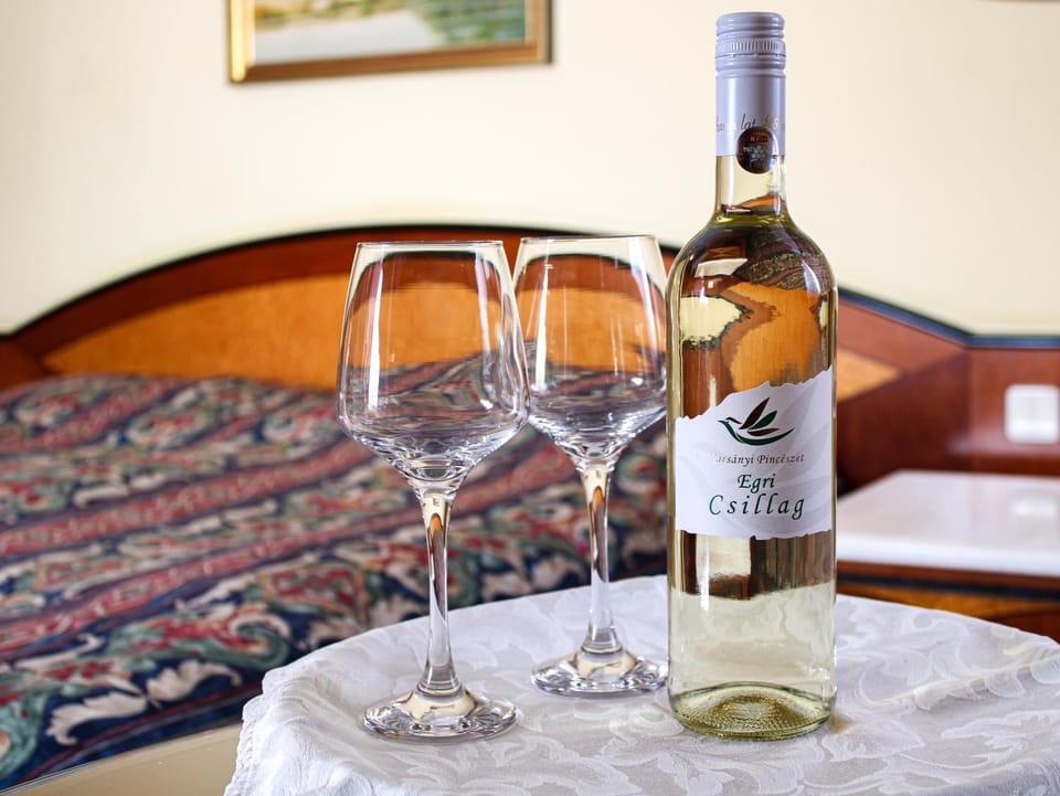 Offi Haz Hotel Bed and Breakfast in Slovakia