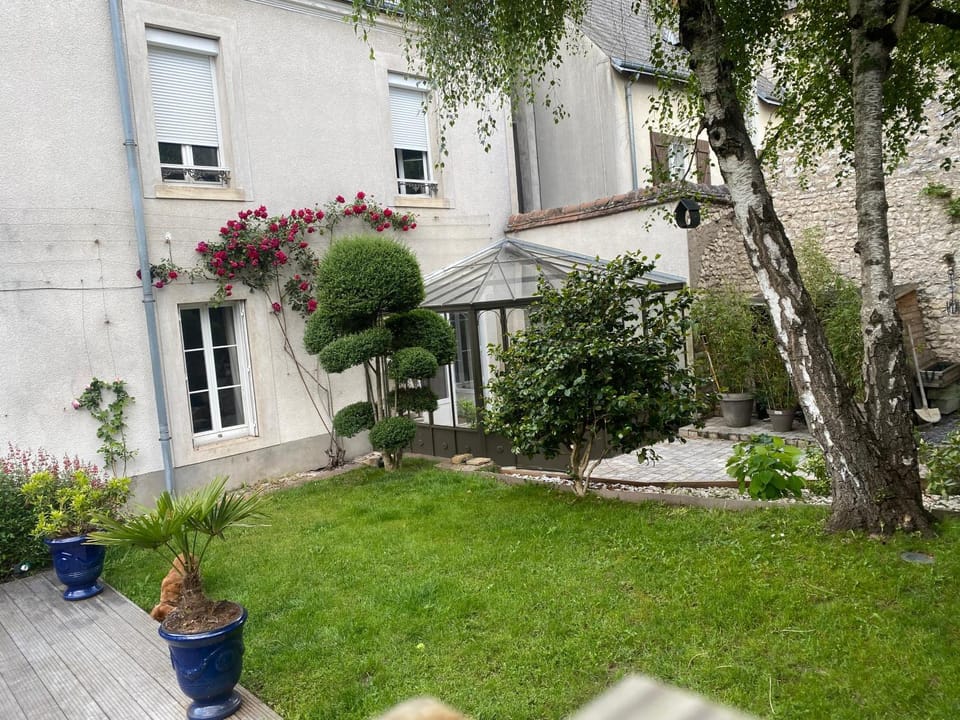 Garden view