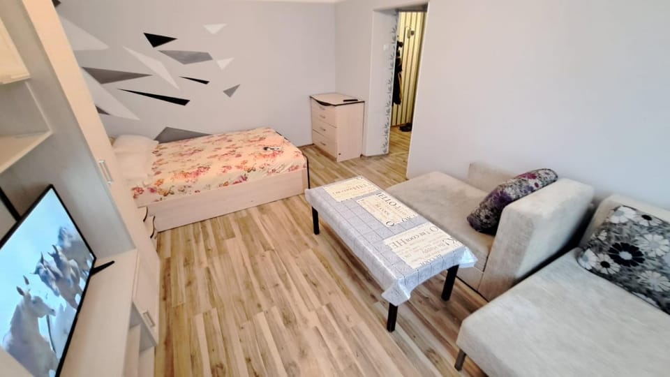 Cietokšņa 55а-1 Apartment in Lithuania