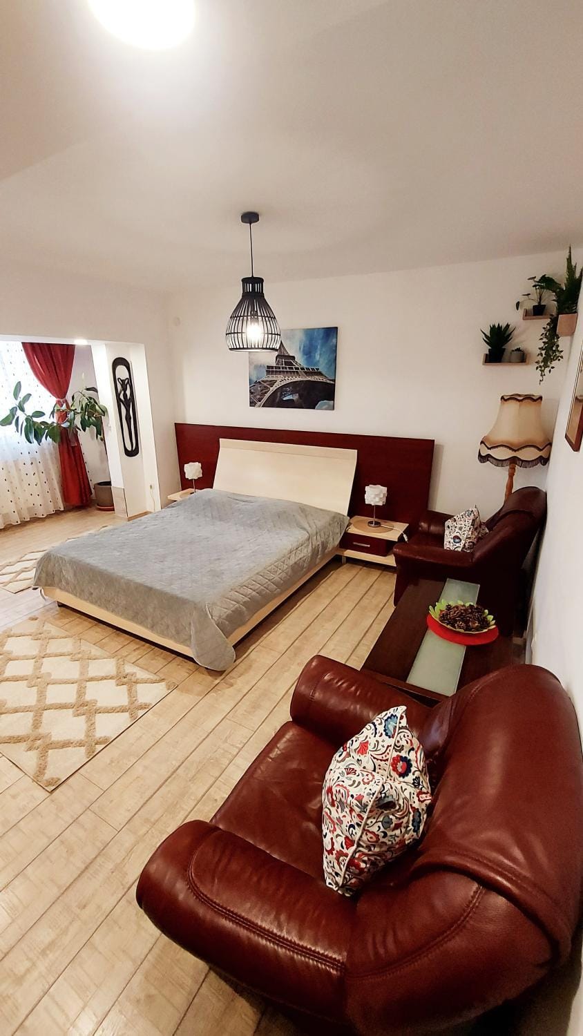 Bed, TV and multimedia, Living room, Photo of the whole room, Seating area, Bedroom