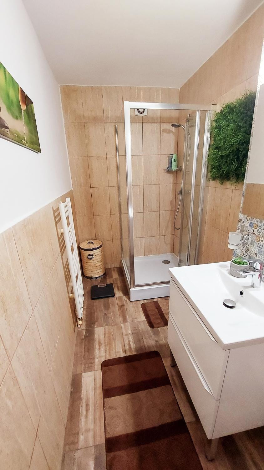 Shower, Toilet, Bathroom, towels