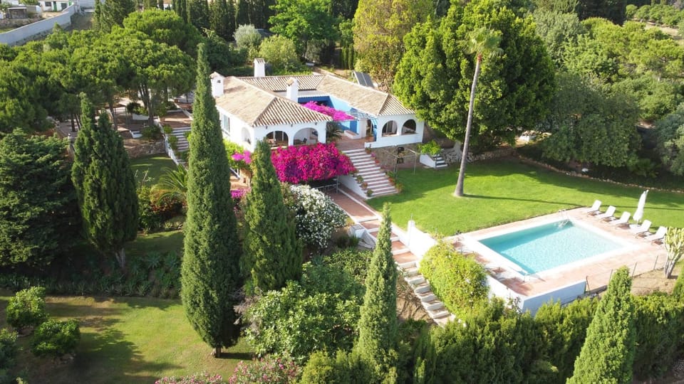Property building, Spring, Day, Natural landscape, Bird's eye view, Garden, Garden view, Pool view, Swimming pool, sunbed