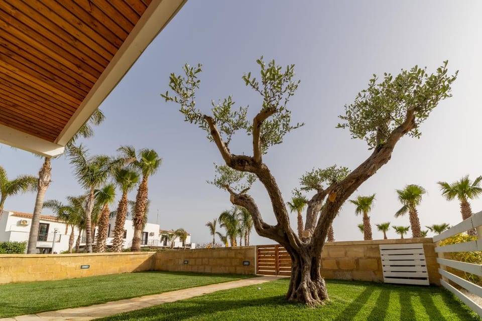 Garden, Garden view