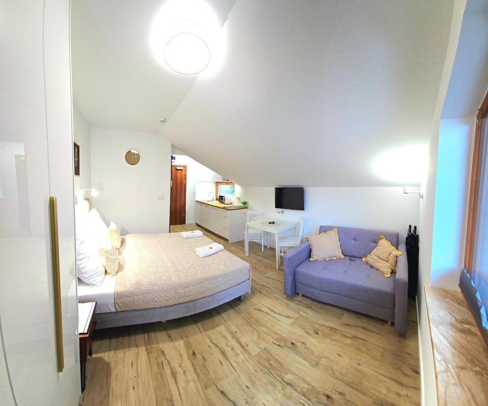 Bed, TV and multimedia, Living room, Photo of the whole room, Seating area, Bedroom