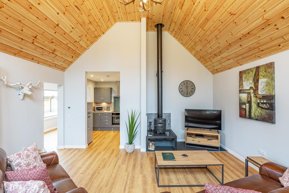 TV and multimedia, Kitchen or kitchenette, Living room, Seating area, fireplace