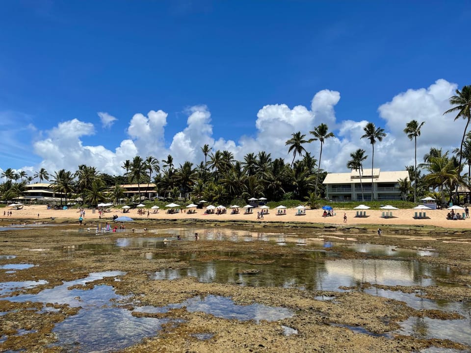 Neighbourhood, Beach