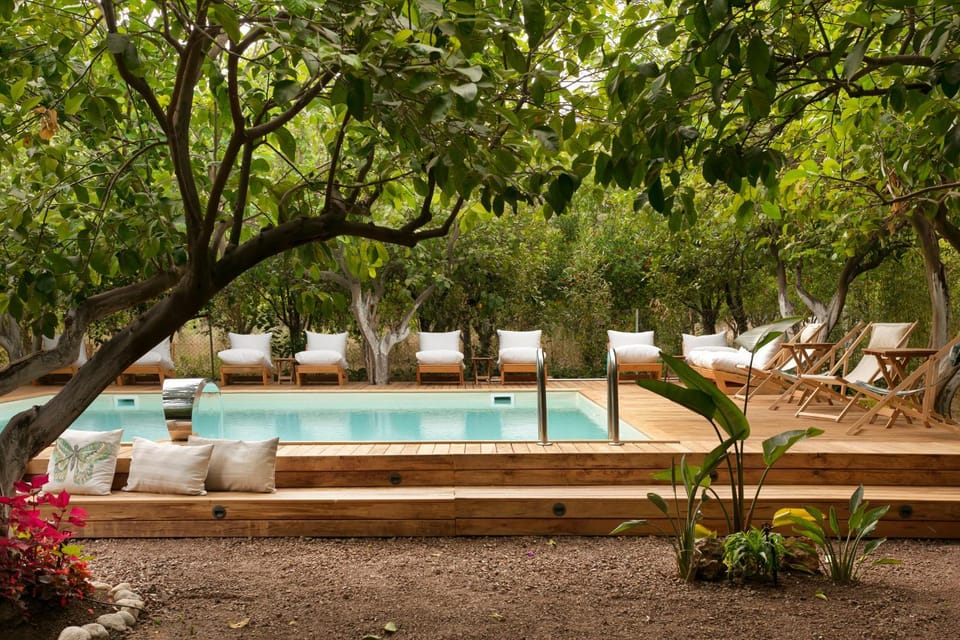 Garden, Seating area, Swimming pool, sunbed