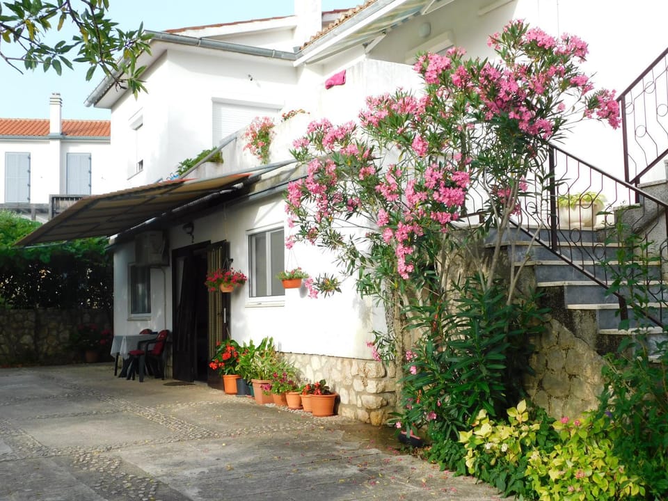 Property building, Patio, Facade/entrance, Garden
