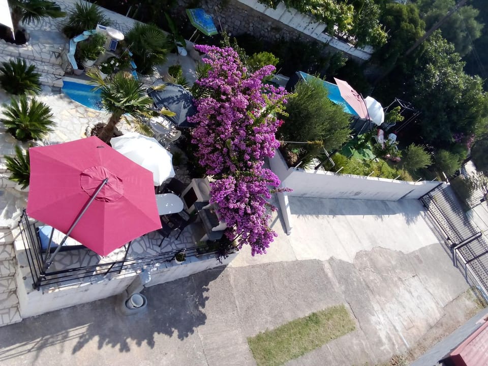 Bird's eye view, Garden