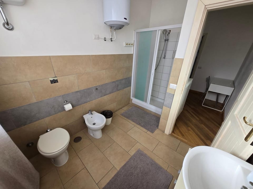 Shower, Toilet, Bathroom, bidet