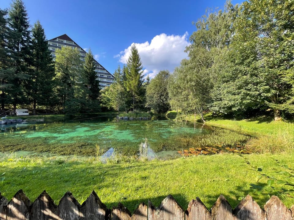 Lake view