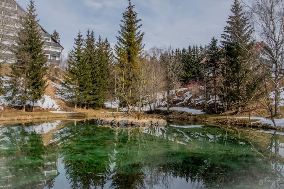 Spring, Natural landscape, View (from property/room), Lake view