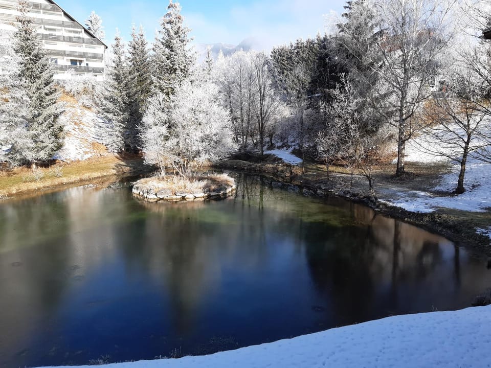 Garden view, Lake view