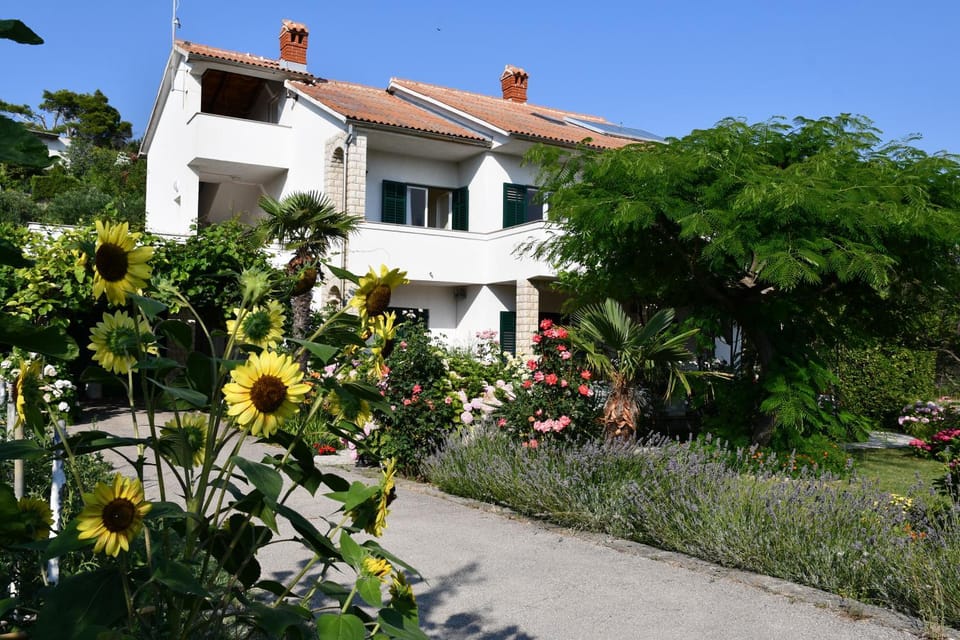 Property building, Garden