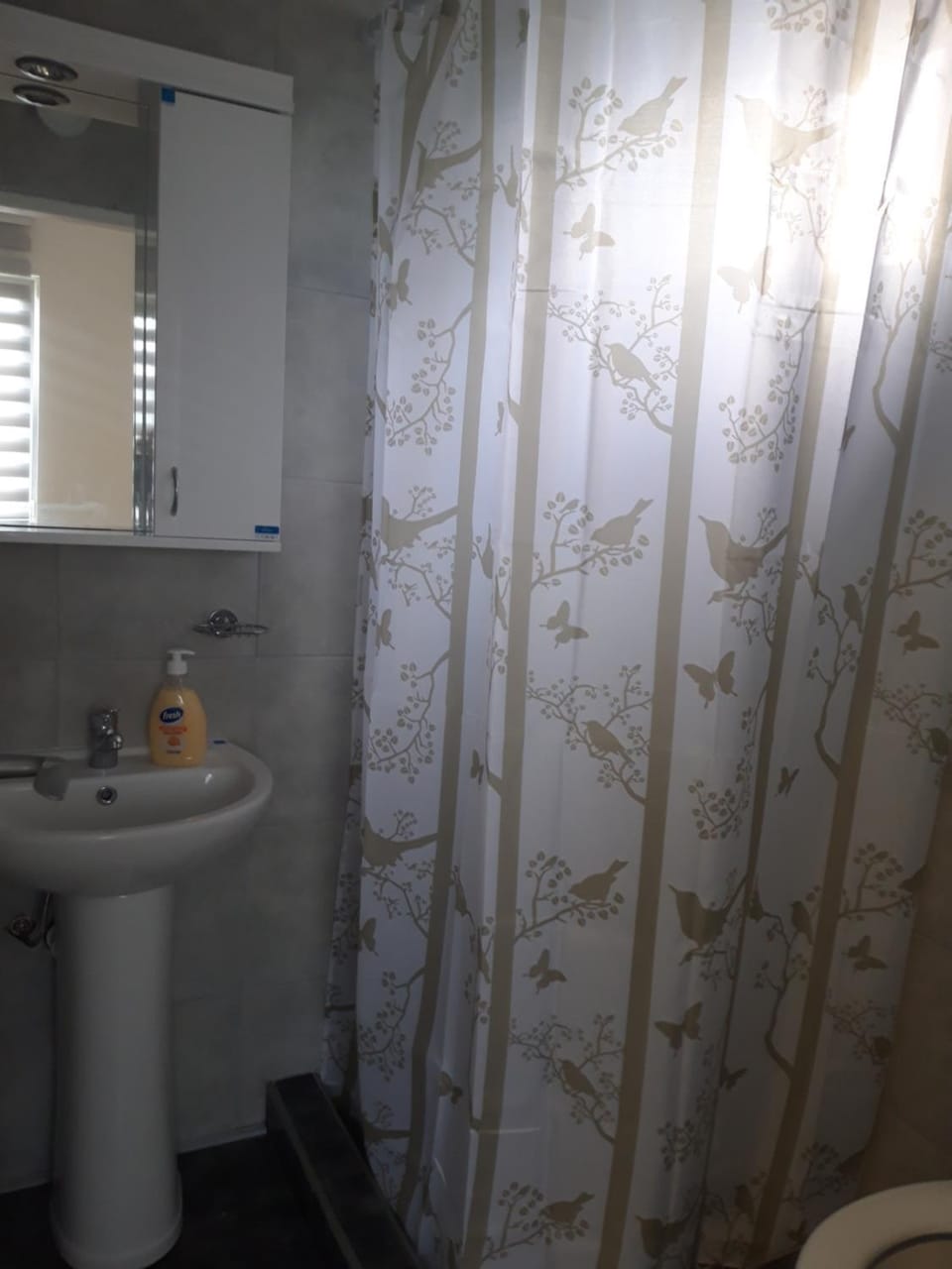 Studio north star Apartment in Serbia