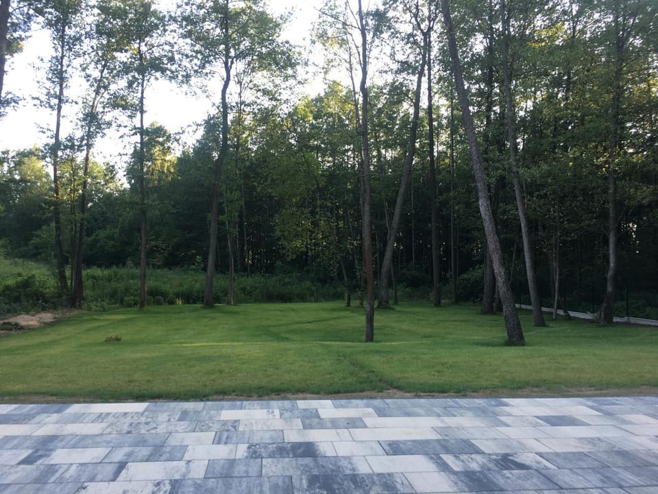 Spring, Garden, Garden view