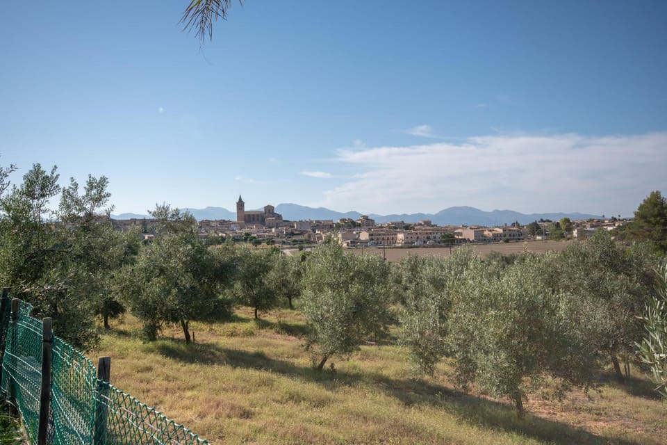 Es Flavo - Family only Villa in Pla de Mallorca